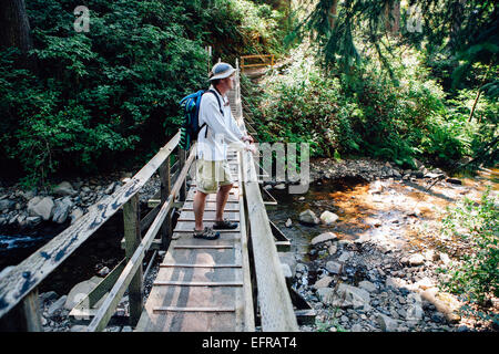 Mann zu Fuß über kleine Fussgängerbrücke in gemäßigten Regenwald, Oswald West SP OR Stockfoto