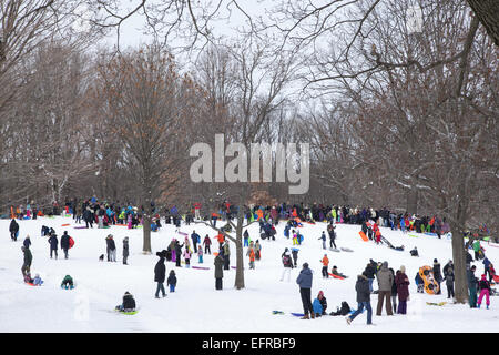 Familien, Rodeln und Menschen nur aus genießen Prospect Park nach einem Schneefall in Park Slope, Brooklyn, NY. Stockfoto