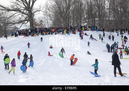 Familien, Rodeln und Menschen nur aus genießen Prospect Park nach einem Schneefall in Park Slope, Brooklyn, NY. Stockfoto