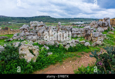 TA Hagrat ist Maltesisch prähistorische megalitischen Tempel auf der Weltkulturerbeliste der UNESCO eingeschrieben. Stockfoto