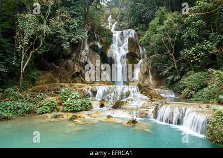 Kuang Si Wasserfall, Luang Prabang, Laos. Stockfoto