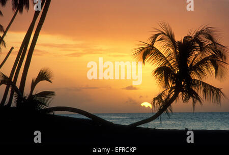 Tropical Sunset, Tobago Stockfoto