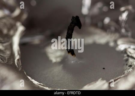 Nahaufnahme von der schwarzen verbrannten erloschen Docht auf eine Kerze, umgeben von weichen Wachs mit selektiven Fokus auf den Docht Stockfoto