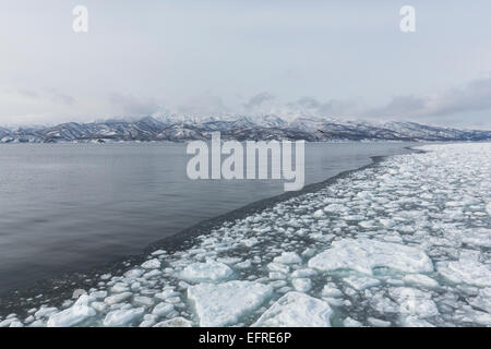 Treibeis, Rausu, Shiretoko-Halbinsel, Hokkaido, Japan Stockfoto