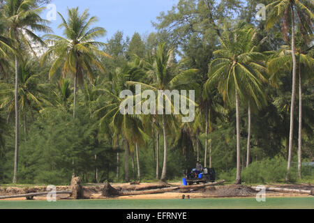 Pansea Beach, Phuket, Thailand Stockfoto