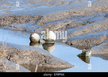 Zwei Bojen im Schlamm eines Baches in der Nähe von Vange Marsh in Essex bei Ebbe Stockfoto