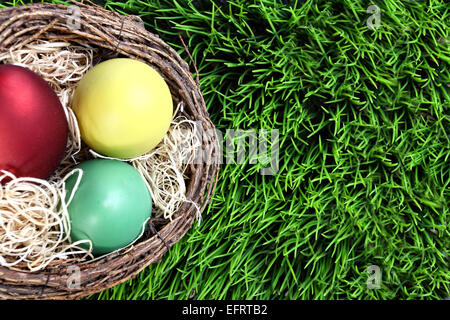 Bunte Ostereier im nest Stockfoto