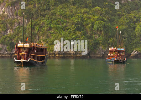 Traditionelle touristische Segeln Junk Halong Bucht Vietnam Stockfoto