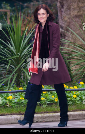 London, 10. Februar 2015. Minister kommen bei der wöchentlichen Kabinettssitzung in 10 Downing Street. Auf dem Bild: Theresa Villiers MP, Staatssekretär für Nordirland Credit: Paul Davey/Alamy Live-Nachrichten Stockfoto