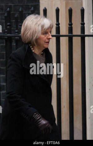 London, 10. Februar 2015. Minister kommen bei der wöchentlichen Kabinettssitzung in 10 Downing Street. Im Bild: Home Secretary Theresa May Kredit: Paul Davey/Alamy Live-Nachrichten Stockfoto