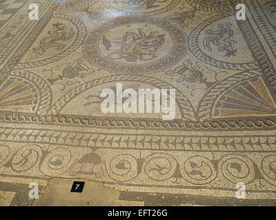 Amor und Dolphin Mosaic, Fishbourne Roman Palace, Nr Chichester West Susses UK Stockfoto