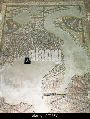 Mosaik-Details im Fishbourne Roman Palace, Nr Chichester West Susses UK Stockfoto