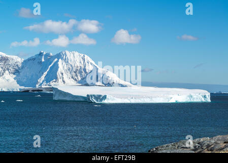 Errera Kanal, Cuverville Island, Antarktis Stockfoto