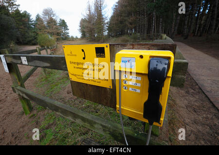 Gelbe Notruftelefon bei Holkham, Norfolk, England, UK. Stockfoto