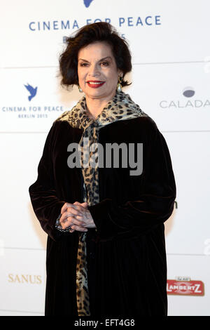 Berlin, Deutschland. 8. Februar 2015. Bianca Jagger Teilnahme an das Kino für Frieden Gala 2015 im Konzerthaus am 8. Februar 2015 in Berlin, Deutschland. © Dpa/Alamy Live-Nachrichten Stockfoto