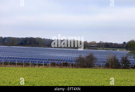 Sonnenkollektoren im Westen Raynham Solarpark in Norfolk, England, UK. Stockfoto