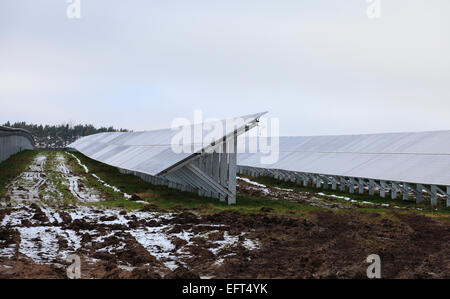 Solarzellen auf West Raynham Solarpark in Norfolk auf einem nassen und kalten Wintertag. Seite im Aufbau. Stockfoto