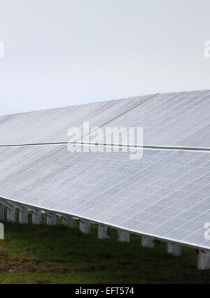 Solarzellen auf West Raynham Solarpark in Norfolk auf einem nassen und kalten Wintertag. Seite im Aufbau. Stockfoto