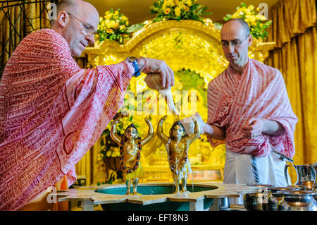 Hare-Krishna-Anhänger übergießen gold Gottheiten an der Zeremonie der Gaura Purnima Caranamrita (Milch, Ghee und Honig). Stockfoto