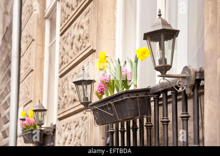 Frühlingsblumen im Fenster Stockfoto