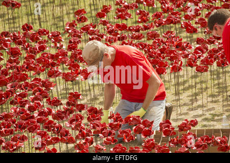 Allgemeine Ansichten einer Installation von Keramik-Künstler Paul Cummins mit dem Titel "Blut Mehrfrequenzdarstellung Länder und Meere of Red". Die Installation, die in den Tower of London vom 5. August bis zum 11. November ist, verfügt über Keramik Mohnblumen, darstellt die Leben Stockfoto