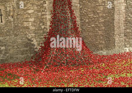 Allgemeine Ansichten einer Installation von Keramik-Künstler Paul Cummins mit dem Titel "Blut Mehrfrequenzdarstellung Länder und Meere of Red". Die Installation, die in den Tower of London vom 5. August bis zum 11. November ist, verfügt über Keramik Mohnblumen, darstellt die Leben Stockfoto