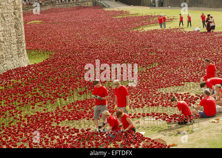 Allgemeine Ansichten einer Installation von Keramik-Künstler Paul Cummins mit dem Titel "Blut Mehrfrequenzdarstellung Länder und Meere of Red". Die Installation, die in den Tower of London vom 5. August bis zum 11. November ist, verfügt über Keramik Mohnblumen, darstellt die Leben Stockfoto