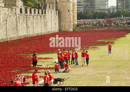 Allgemeine Ansichten einer Installation von Keramik-Künstler Paul Cummins mit dem Titel "Blut Mehrfrequenzdarstellung Länder und Meere of Red". Die Installation, die in den Tower of London vom 5. August bis zum 11. November ist, verfügt über Keramik Mohnblumen, darstellt die Leben Stockfoto