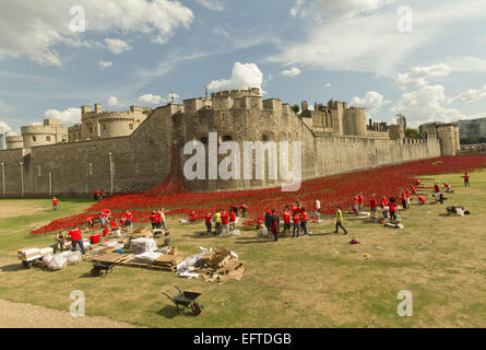 Allgemeine Ansichten einer Installation von Keramik-Künstler Paul Cummins mit dem Titel "Blut Mehrfrequenzdarstellung Länder und Meere of Red". Die Installation, die in den Tower of London vom 5. August bis zum 11. November ist, verfügt über Keramik Mohnblumen, darstellt die Leben Stockfoto