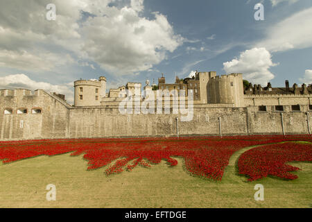 Allgemeine Ansichten einer Installation von Keramik-Künstler Paul Cummins mit dem Titel "Blut Mehrfrequenzdarstellung Länder und Meere of Red". Die Installation, die in den Tower of London vom 5. August bis zum 11. November ist, verfügt über Keramik Mohnblumen, darstellt die Leben Stockfoto