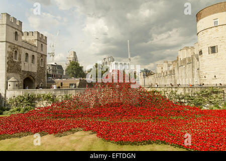 Allgemeine Ansichten einer Installation von Keramik-Künstler Paul Cummins mit dem Titel "Blut Mehrfrequenzdarstellung Länder und Meere of Red". Die Installation, die in den Tower of London vom 5. August bis zum 11. November ist, verfügt über Keramik Mohnblumen, darstellt die Leben Stockfoto