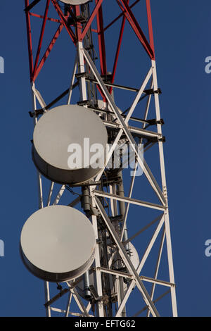 Handy und Kommunikation Mast Crocodile Elerai Amboseli-Kenia Stockfoto