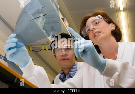 Forschungsabteilung des Cancer Biology, UCL Krebsinstitut Paul O'Go Stockfoto