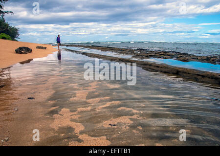 Ein Spaziergang am Strand von Kauai. Stockfoto