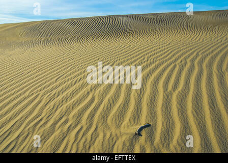 Death Valley Dünen und Wind geblasen Sand Muster. Stockfoto