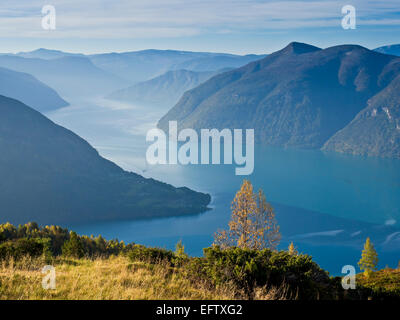 Blick vom Mount Molden nach unten über den Lustrafjord, Zweig des Sognefjords, Landzunge bei Urnes mit Norways ältester Stabkirche, Norwegen Stockfoto