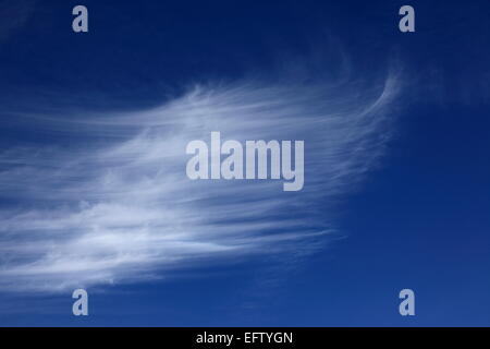 weiße Cirruswolken im blauen Himmel. Foto: Willy Matheisl Stockfoto