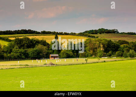 Ländliche Szene mit Fernsicht auf Cricket Field und Match, Oxfordshire, England Stockfoto