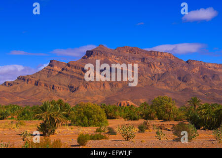 Djebel Kissane, Agdz, Palmenhain, Oasis, Draa-Tal, Souss-Massa-Dra‰ Region, Tal des Flusses Draa Anti-Atlas, Marokko, Stockfoto