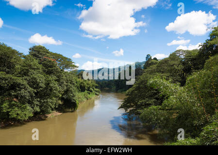 Mahaweli Fluß, Peradeniya, Kandy, Central Province, Sri Lanka. Stockfoto