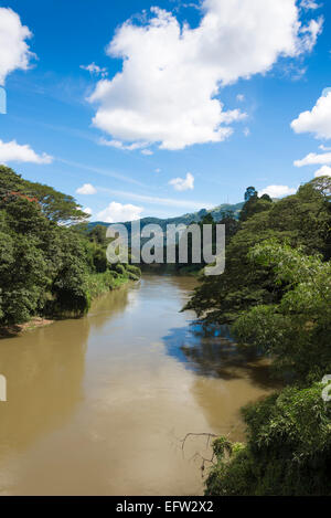 Mahaweli Fluß, Peradeniya, Kandy, Central Province, Sri Lanka. Stockfoto