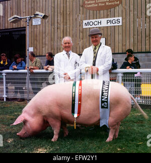 Britisches walisisches Bauernporträt. Bauern mit preisgekröntem Schweinesau tragen Bänder auf der Royal Welsh Agricultural Show, Builth Wells, Powys, Wales UK KATHY DEWITT Stockfoto