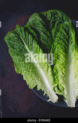 Romaine Salatblätter auf dunklem Hintergrund Stockfoto