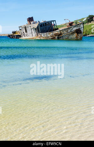 Verlassene alte hölzerne Minesweeper auf New Island in den Falkland-Inseln Stockfoto