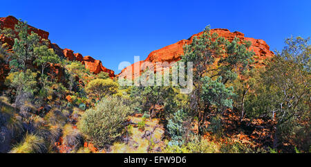 Outback Panorama Kings Canyon wandern Suche Australian Central Australia Klippe Böschung Stockfoto