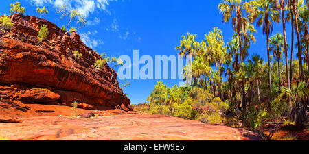 Palm Valley Panorama in Central Australia Northern Territory Stockfoto