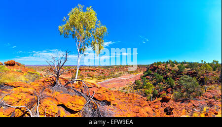 Palm Valley Panorama in Central Australia Northern Territory Stockfoto