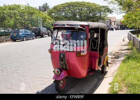 Rosa, Tuk-Tuk, Galle, Südprovinz Sri Lanka. Stockfoto