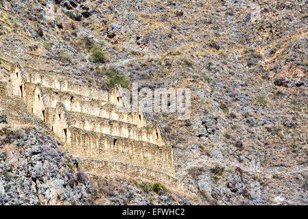 Alten Inka Ruinen der kleinen Stadt von Ollantaytambo im Heiligen Tal in der Nähe von Cusco, Peru Stockfoto