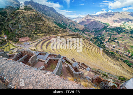 Ruinen und Terrassen in Pisac im Heiligen Tal in der Nähe von Cusco, Peru Stockfoto